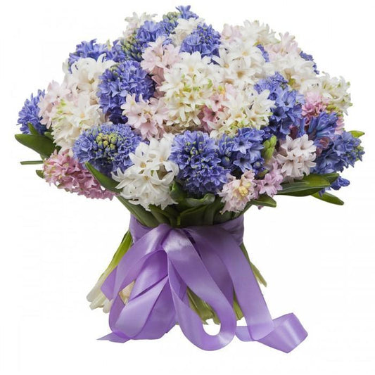Colorful Bouquet of Hyacinths
