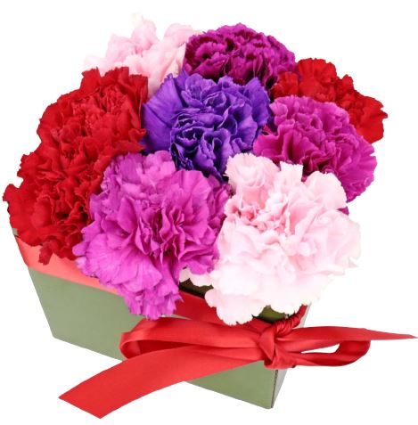 Colourful Carnation Box