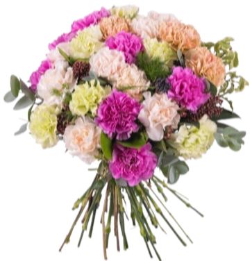 Colourful Carnations with Greenery Bouquet