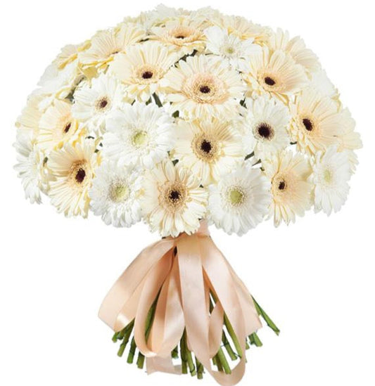 Cream and White Gerbera Bouquet