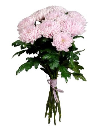 Cute Pink Chrysanthemum Bouquet