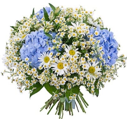 Daisy Bouquet with Blue Hydrangea