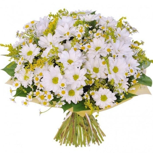 Daisy Chrysanthemum with Solidago Bouquet