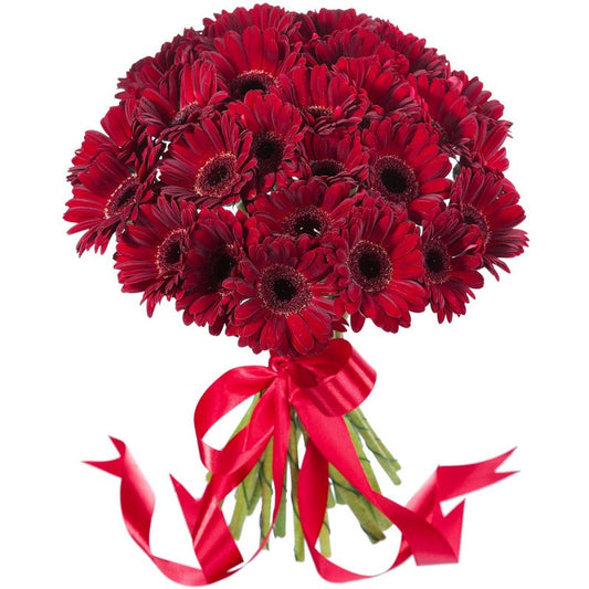 Dark Red Gerbera Bouquet