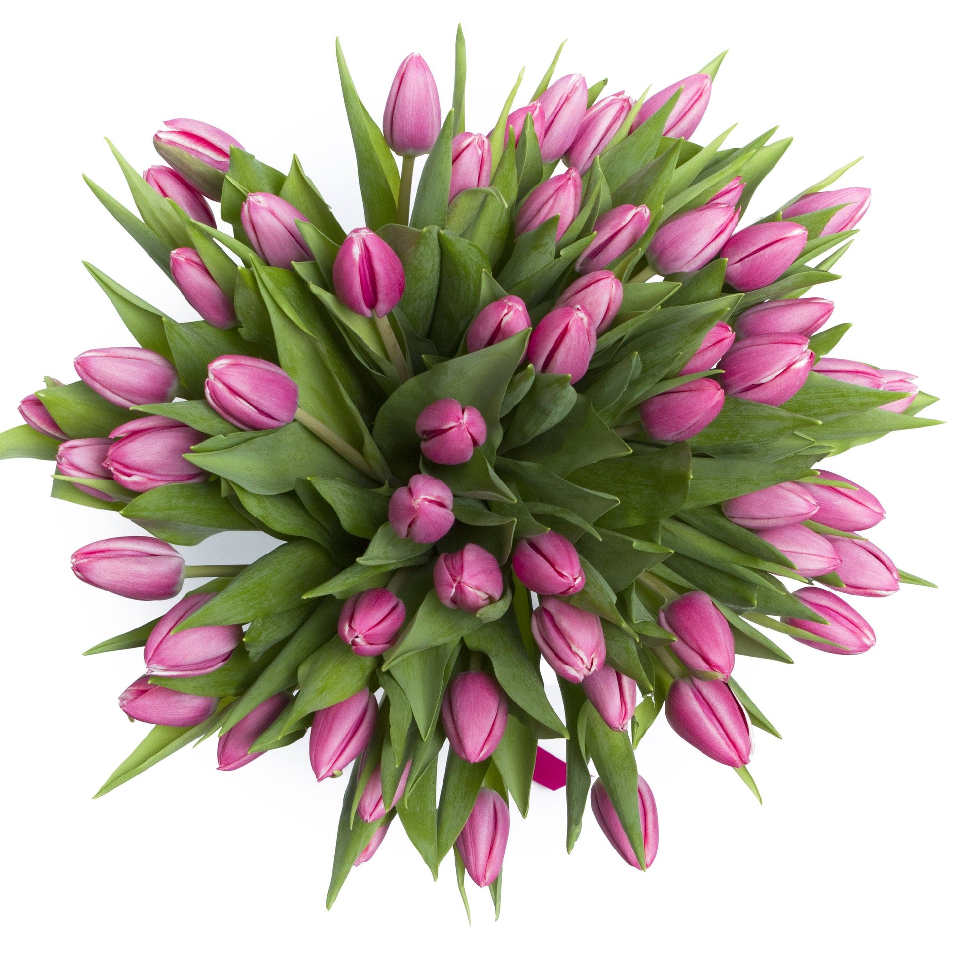 Elegant Tulips Bouquet