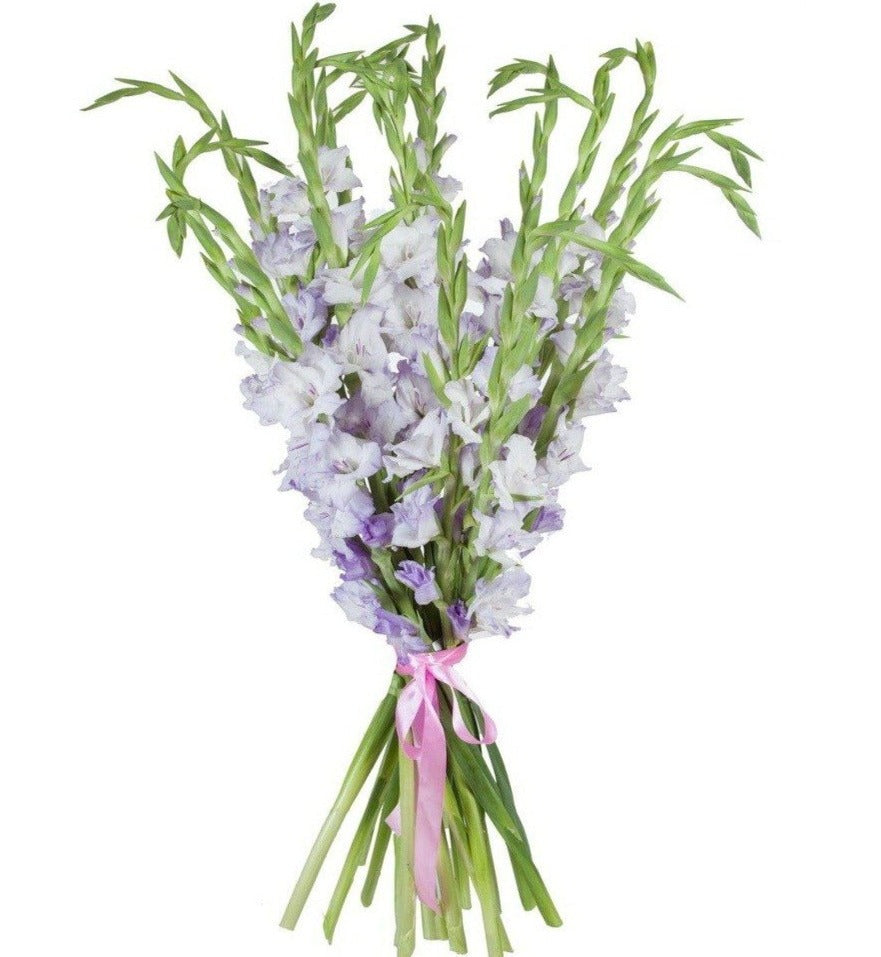 Gladiolus Bouquet