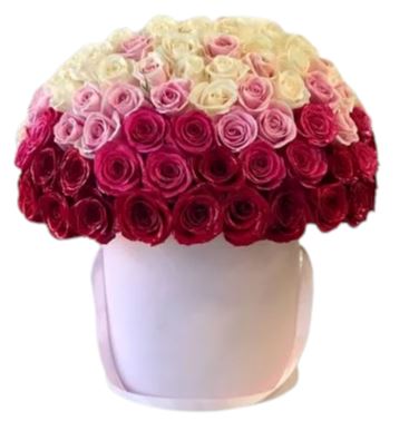 Gradient Luxury Roses Box