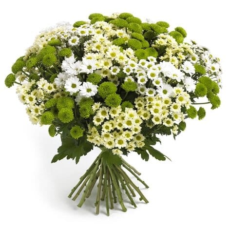 Green and White Shades Santini Bouquet