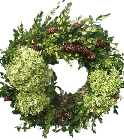 Green Hydrangea Christmas Wreath