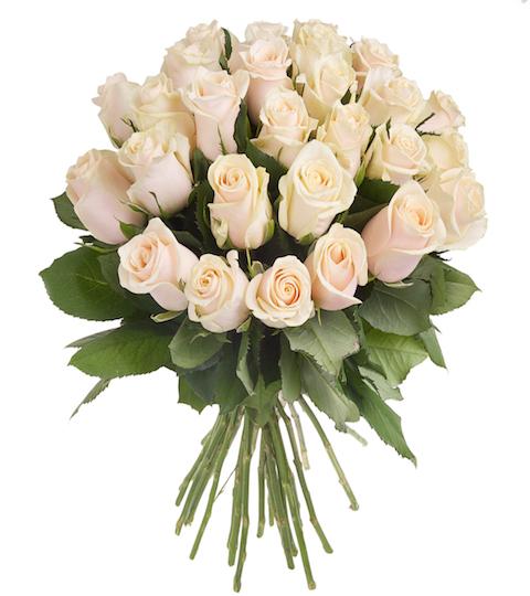 Ivory Roses Bouquet