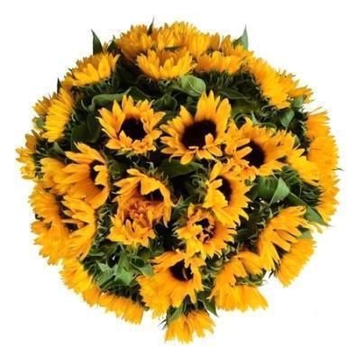 Just Sunflowers Bouquet