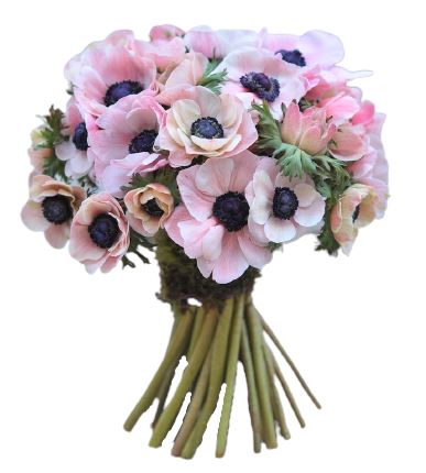 Light Pink Anemone Bouquet