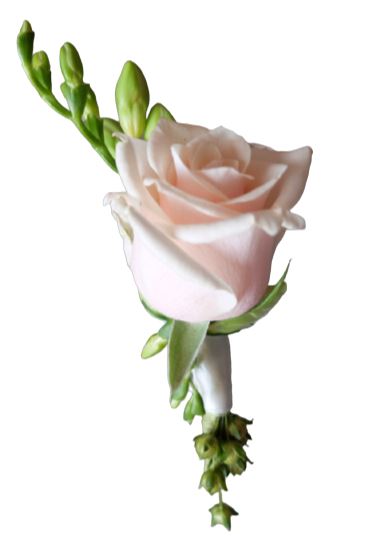Light Pink Rose and Freesia Buttonhole