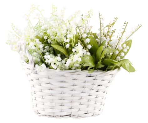 Lily of Valley in Basket
