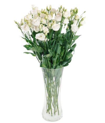 Lisianthus Bouquet in Vase