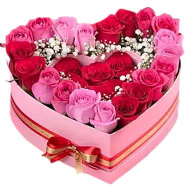 Love Pink and Red Roses Heart
