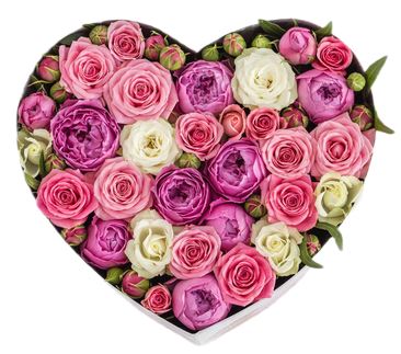 Lovely Box of Roses