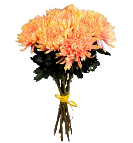 Luxury Peach Chrysanthemum Bouquet