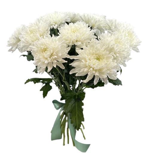 Luxury White Chrysanthemum Bouquet