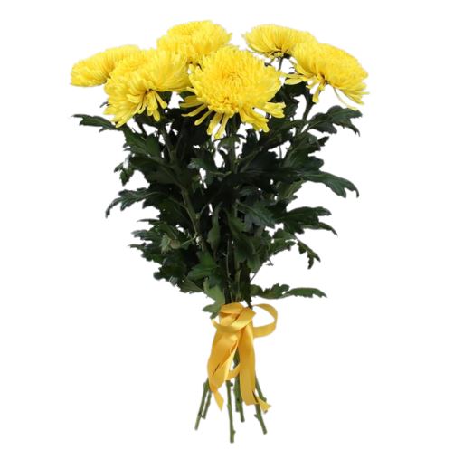 Luxury Yellow Chrysanthemum Bouquet