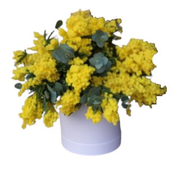 Mimosa Scented Box