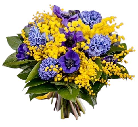 Mimosa with Blue Bouquet