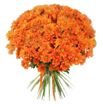 Orange Daisy Chrysanthemum Bouquet