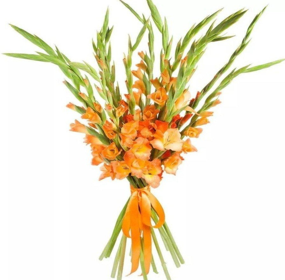 Orange Gladiolus Bouquet