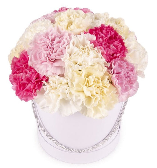 Pastel Colourful Carnations Box
