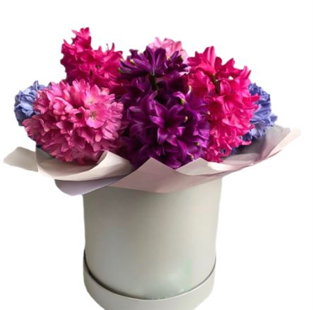 Perfect Hyacinth Box
