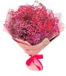 Pink and Red Gypsophila Bouquet