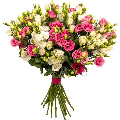 Pink and White Lisianthus Flowers