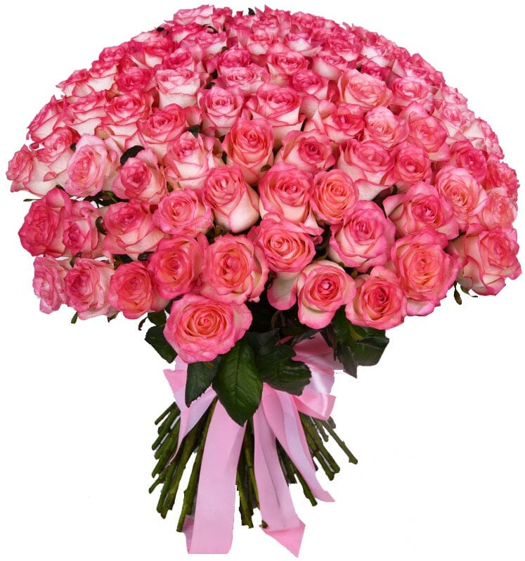 Pink Blush Roses Bouquet