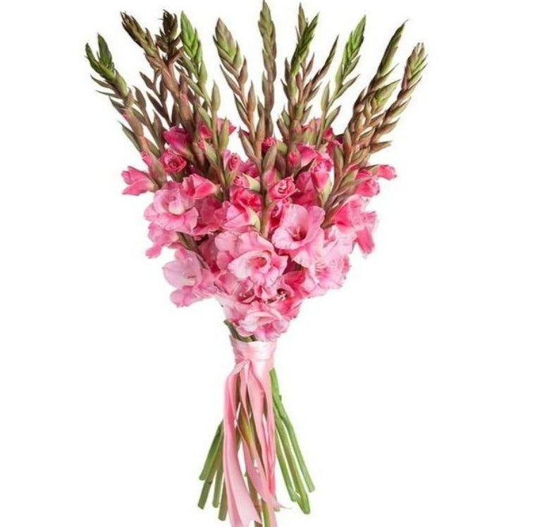 Pink Gladiolus Bouquet