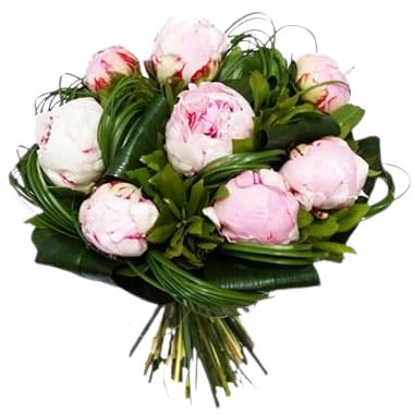 Pink Peonies with Greenery