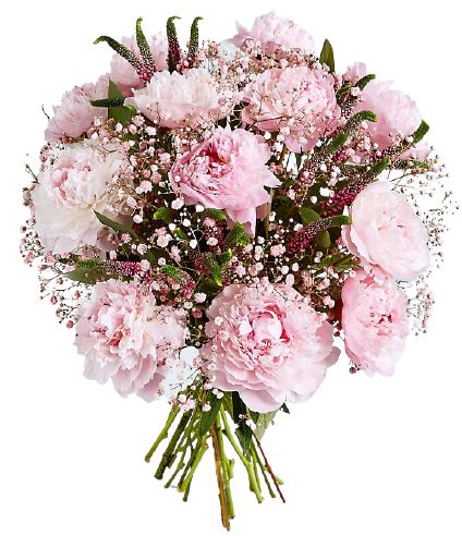 Pink Peonies with Gypsophila and Veronica