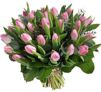 Pink Tulips with Greenery Bouquet