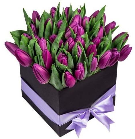 Purple Tulips Box