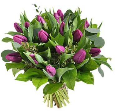 Purple Tulips with Greenery Bouquet