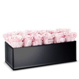 Rectangle Roses Box
