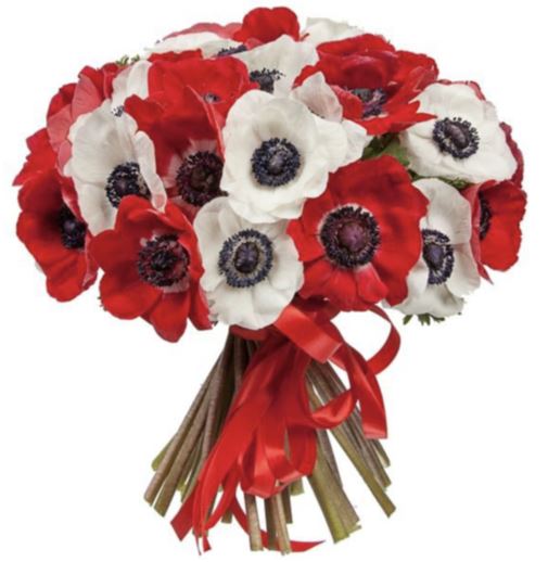 Red and White Anemones Bouquet