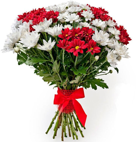 Red and White Chrysanthemum Bouquet
