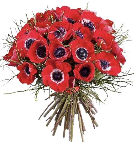Red Anemone Classic Bouquet