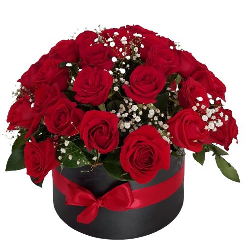 Red Roses and Gypsophila Box