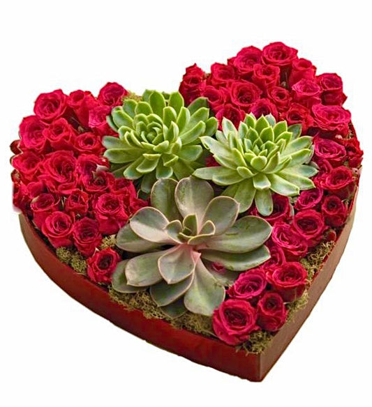 Red Roses Box with Succulent