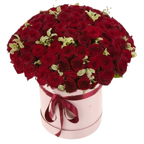 Roses with Pittosporum Box