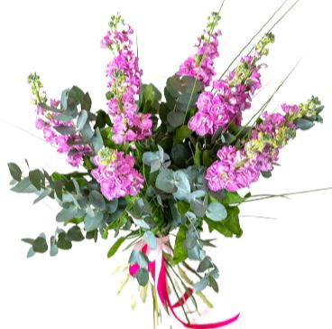 Stock Bouquet with Foliage