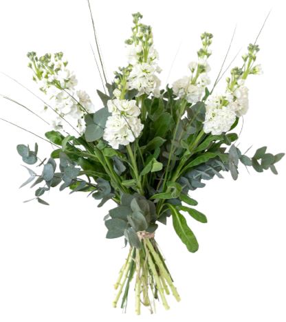 Stock Bouquet with Greenery
