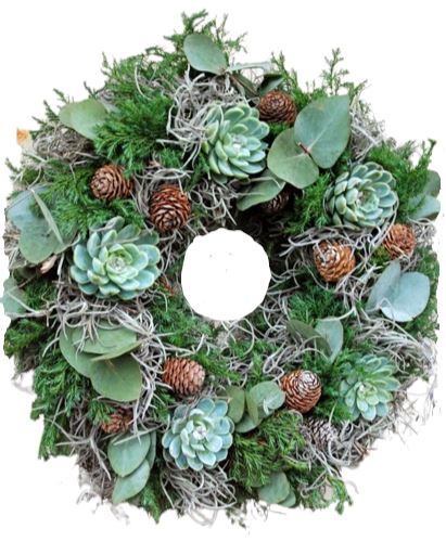 Succulent Door Wreath
