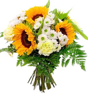 Sunflowers in White Bouquet